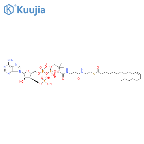 Coenzyme A, S-(11Z)-11-octadecenoate structure