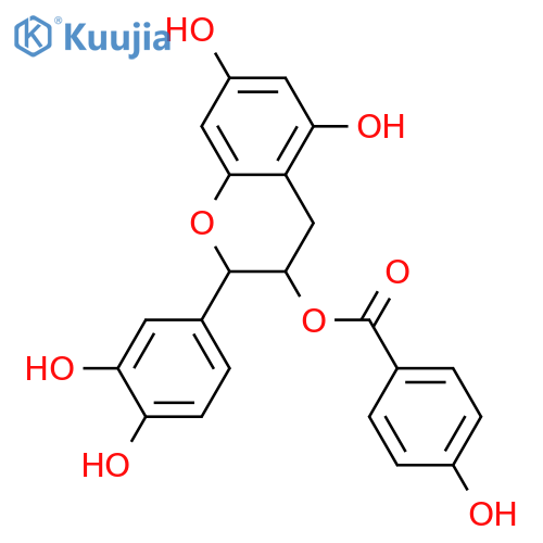 3,3',4',5,7-Pentahydroxyflavan; (2R,3S)-form, 3-O-(4-Hydroxybenzoyl) structure