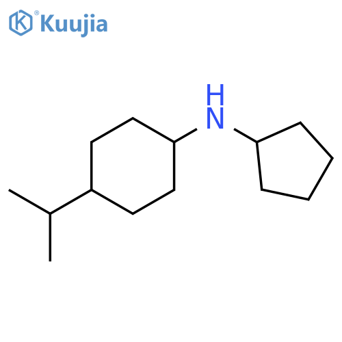 N-cyclopentyl-4-(propan-2-yl)cyclohexan-1-amine structure