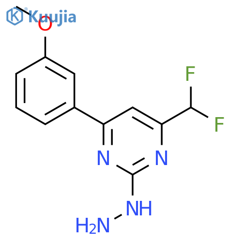 4-(Difluoromethyl)-2-hydrazino-6-(3-methoxyphenyl)pyrimidine structure