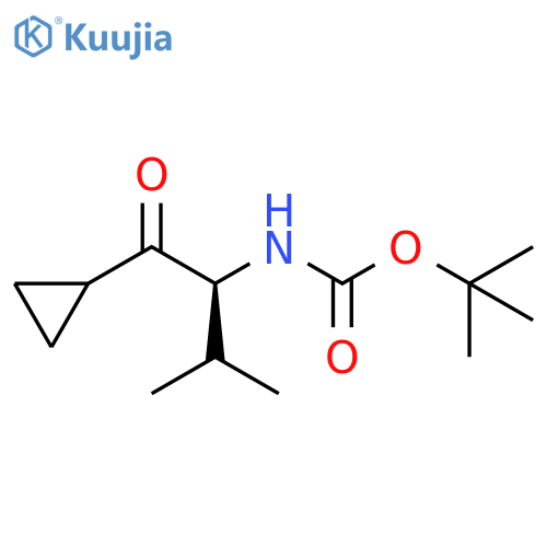 Carbamic acid, [(1S)-1-(cyclopropylcarbonyl)-2-methylpropyl]-, 1,1-dimethylethyl ester (9CI) structure