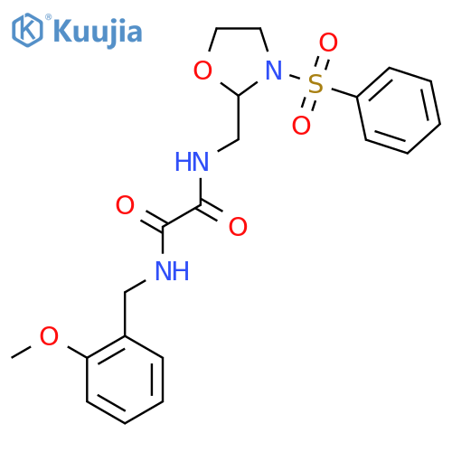 N-{3-(benzenesulfonyl)-1,3-oxazolidin-2-ylmethyl}-N'-(2-methoxyphenyl)methylethanediamide structure