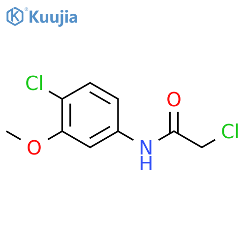 2-Chloro-N-(4-chloro-3-methoxyphenyl)acetamide structure