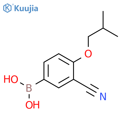 (3-cyano-4-isobutoxyphenyl)boronic acid structure