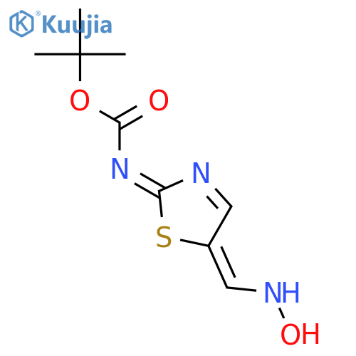 tert-butyl N-{5-(hydroxyimino)methyl-1,3-thiazol-2-yl}carbamate structure