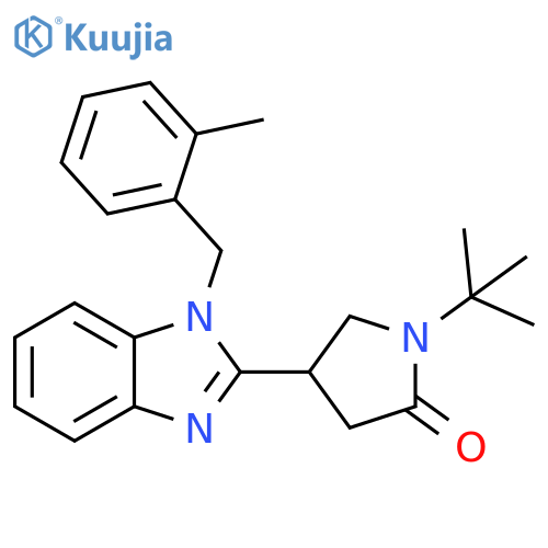 1-tert-butyl-4-{1-(2-methylphenyl)methyl-1H-1,3-benzodiazol-2-yl}pyrrolidin-2-one structure