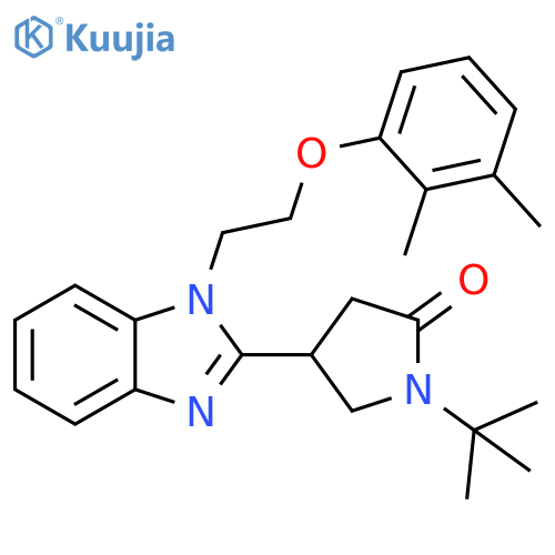 1-tert-butyl-4-{1-2-(2,3-dimethylphenoxy)ethyl-1H-1,3-benzodiazol-2-yl}pyrrolidin-2-one structure
