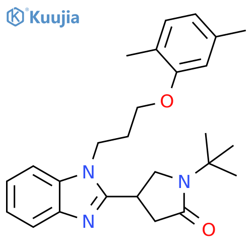 1-tert-butyl-4-{1-3-(2,5-dimethylphenoxy)propyl-1H-1,3-benzodiazol-2-yl}pyrrolidin-2-one structure