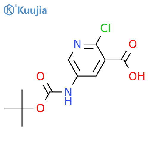 5-Tert-Butoxycarbonylamino-2-Chloro-Nicotinic Acid structure