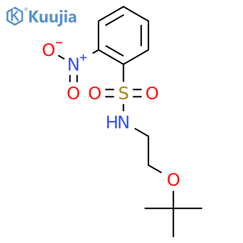N-{2-[(2-methyl-2-propanyl)oxy]ethyl}-2-nitrobenzenesulfonamide structure