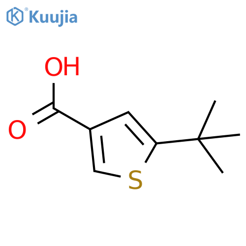 5-tert-butylthiophene-3-carboxylic acid structure