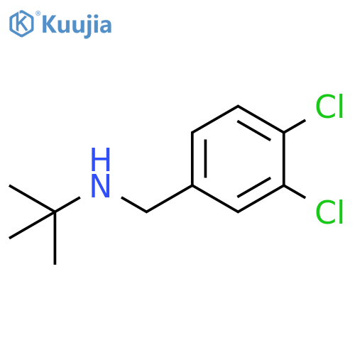 tert-butyl(3,4-dichlorophenyl)methylamine structure