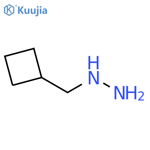 (Cyclobutylmethyl)hydrazine structure