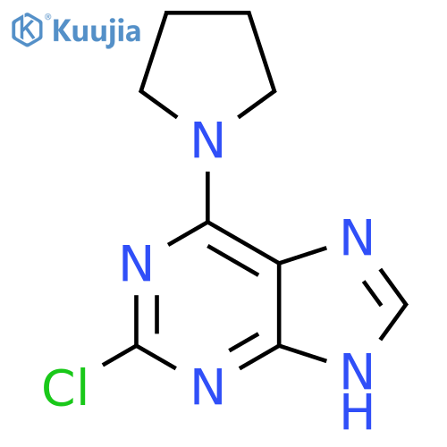 2-Chloro-6-pyrrolidin-1-yl-9H-purine structure