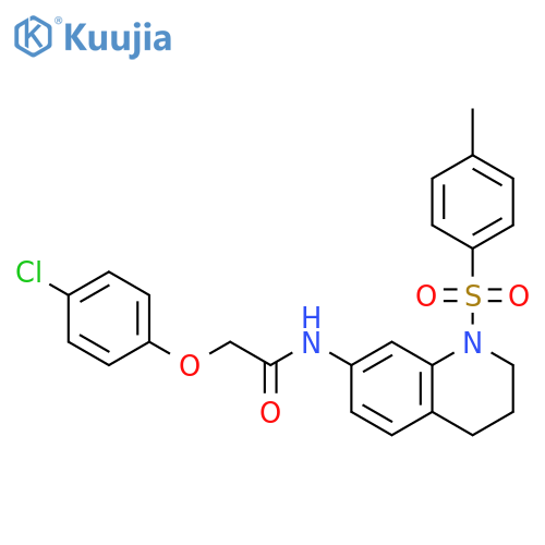 2-(4-chlorophenoxy)-N-1-(4-methylbenzenesulfonyl)-1,2,3,4-tetrahydroquinolin-7-ylacetamide structure
