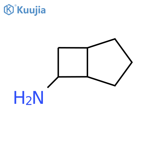 Bicyclo[3.2.0]heptan-6-amine structure