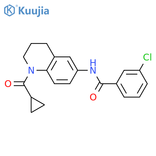 3-chloro-N-(1-cyclopropanecarbonyl-1,2,3,4-tetrahydroquinolin-6-yl)benzamide structure