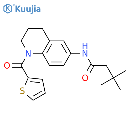 3,3-dimethyl-N-1-(thiophene-2-carbonyl)-1,2,3,4-tetrahydroquinolin-6-ylbutanamide structure