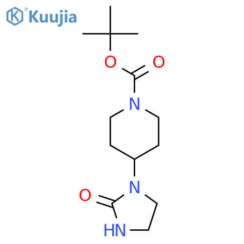 TERT-BUTYL 4-(2-OXOIMIDAZOLIDIN-1-YL)PIPERIDINE-1-CARBOXYLATE structure