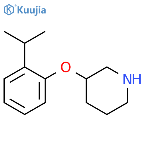 3-(2-Isopropylphenoxy)piperidine structure