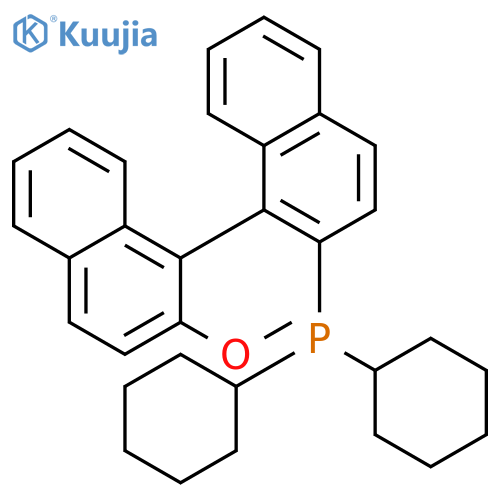 PHOSPHINE, DICYCLOHEXYL(2'-METHOXY[1,1'-BINAPHTHALEN]-2-YL)- structure