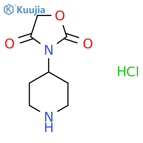 3-(piperidin-4-yl)-1,3-oxazolidine-2,4-dione hydrochloride structure
