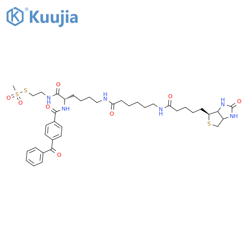 2-Na-Benzoylbenzoicamido-N6-(6-biotinamidocaproyl)-L-lysinylamidoethyl Methanethiosulfonate structure