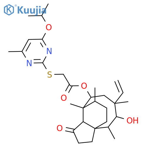 Peptone from meat, bacteriological structure