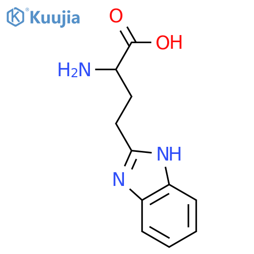 2-amino-4-(1H-1,3-benzodiazol-2-yl)butanoic Acid structure