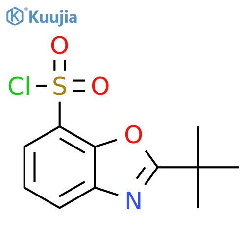 7-Benzoxazolesulfonyl chloride, 2-(1,1-dimethylethyl)- structure