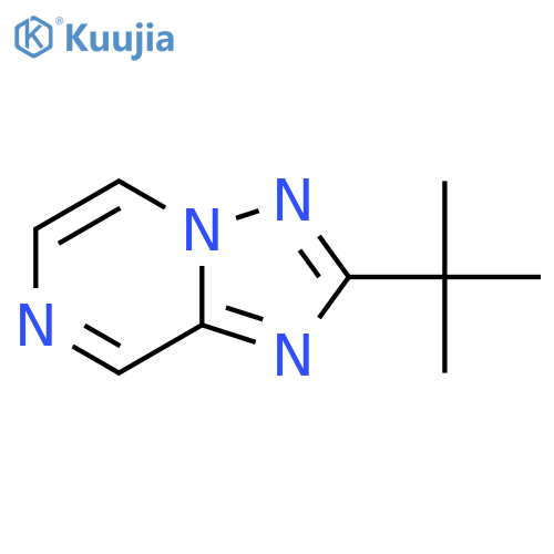 2-(1,1-Dimethylethyl)-[1,2,4]triazolo[1,5-a]pyrazine structure