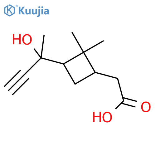 [3-(2-Hydroxybut-3-yn-2-yl)-2,2-dimethylcyclobutyl]acetic acid structure