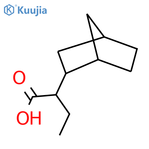 2-{bicyclo2.2.1heptan-2-yl}butanoic acid structure