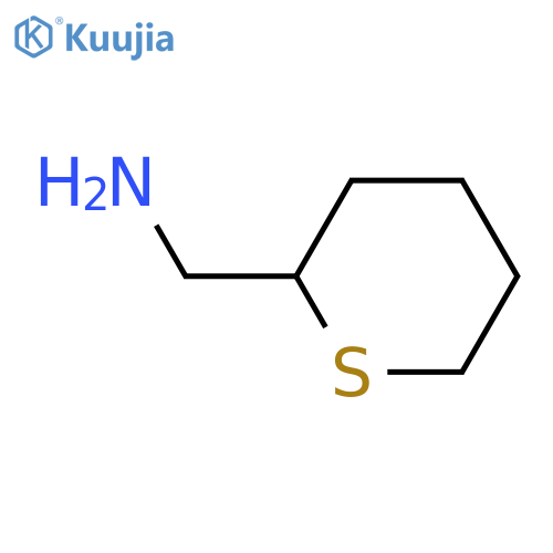 1-(thian-2-yl)methanamine structure