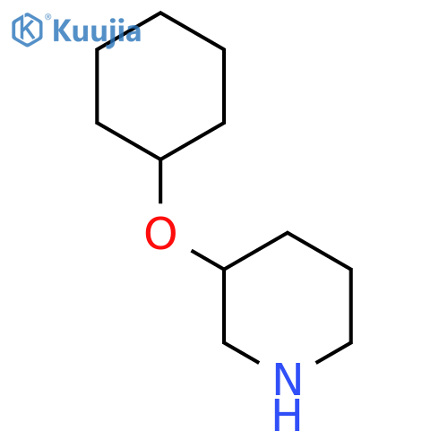 3-(cyclohexyloxy)piperidine structure