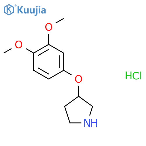 3-(3,4-dimethoxyphenoxy)pyrrolidine structure