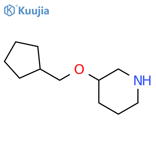 3-(cyclopentylmethoxy)piperidine structure