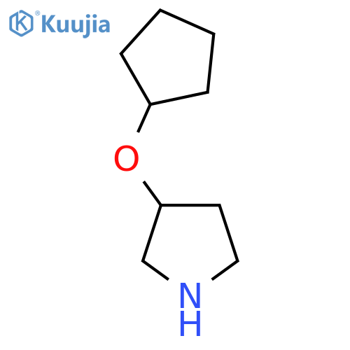 3-(cyclopentyloxy)pyrrolidine structure