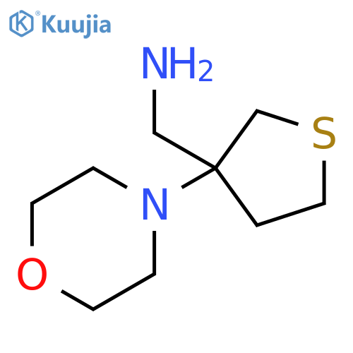 1-[3-(morpholin-4-yl)thiolan-3-yl]methanamine structure