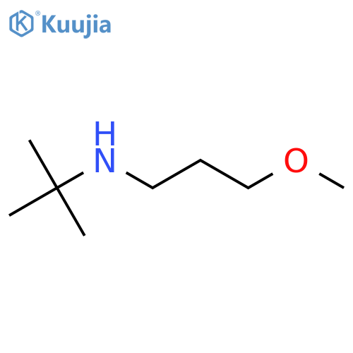 tert-Butyl(3-methoxypropyl)amine structure