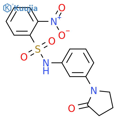 2-nitro-N-3-(2-oxopyrrolidin-1-yl)phenylbenzene-1-sulfonamide structure
