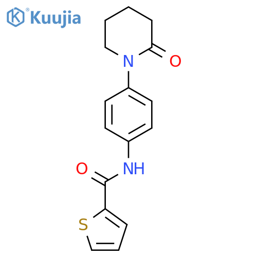 N-4-(2-oxopiperidin-1-yl)phenylthiophene-2-carboxamide structure