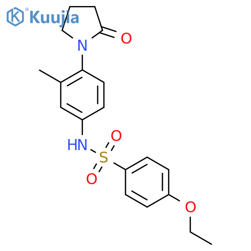 4-ethoxy-N-3-methyl-4-(2-oxopyrrolidin-1-yl)phenylbenzene-1-sulfonamide structure
