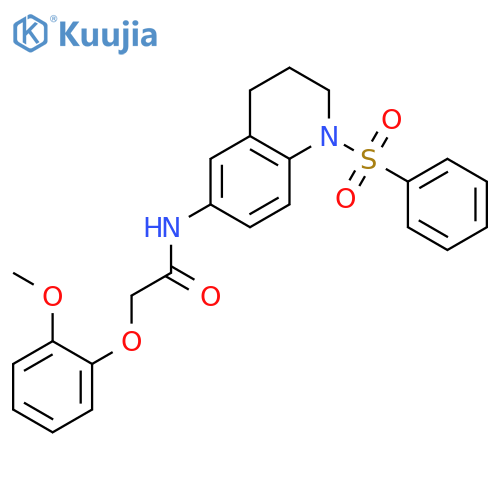 N-1-(benzenesulfonyl)-1,2,3,4-tetrahydroquinolin-6-yl-2-(2-methoxyphenoxy)acetamide structure