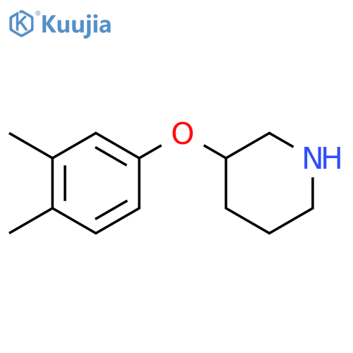 3-(3,4-Dimethylphenoxy)piperidine structure
