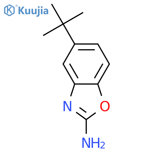 5-tert-Butyl-1,3-benzoxazol-2-amine structure