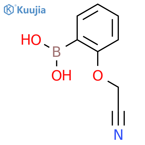 2-Cyanomethoxyphenylboronic acid structure