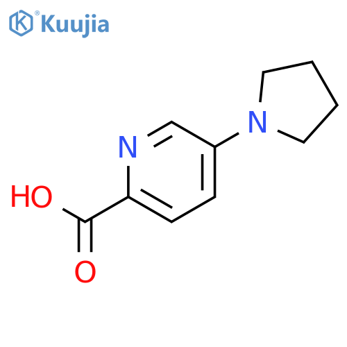 5-Pyrrolidin-1-ylpyridine-2-carboxylic Acid structure