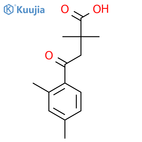 2,2-Dimethyl-4-(2,4-dimethylphenyl)-4-oxobutyric acid structure
