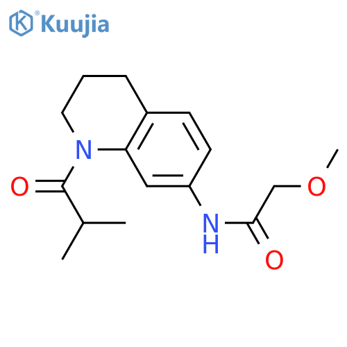 2-methoxy-N-1-(2-methylpropanoyl)-1,2,3,4-tetrahydroquinolin-7-ylacetamide structure